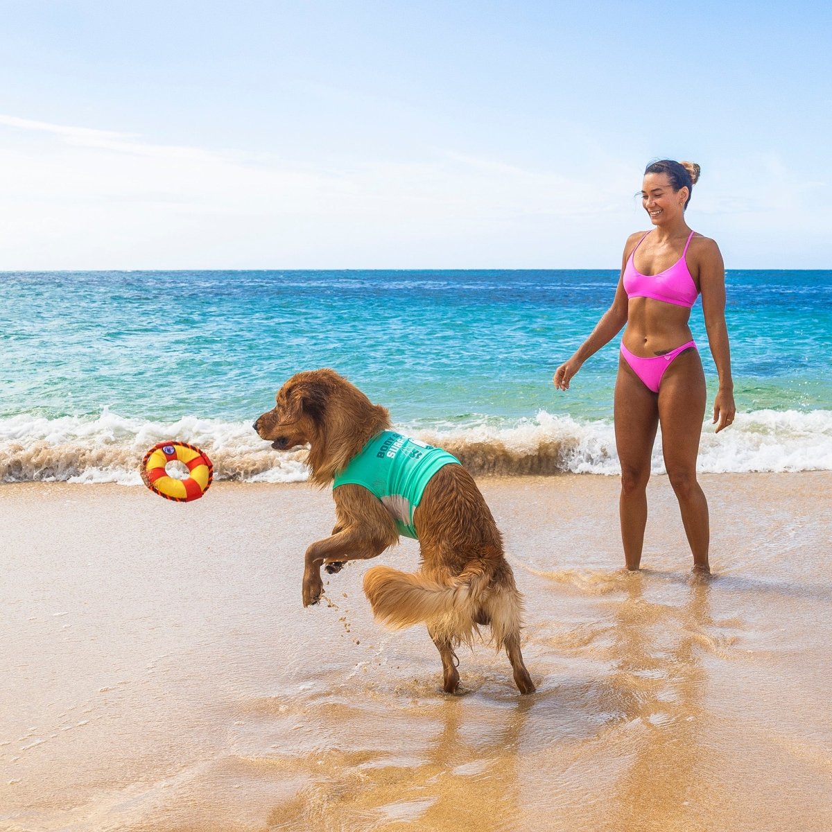 Body Glove Life Ring Dog Toy | HT Animal Supply