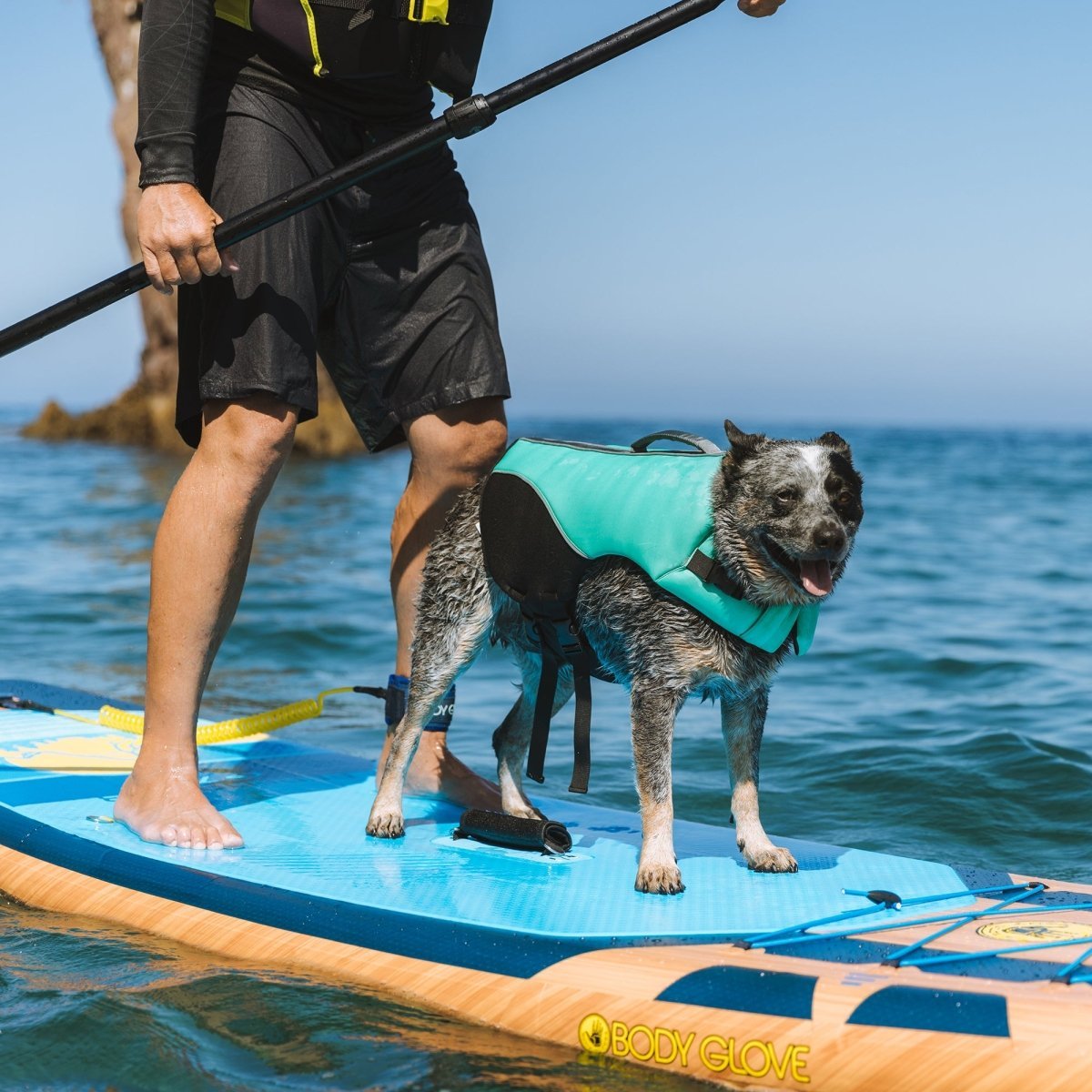 Body Glove Neoprene Pet Life Jacket premium pet product