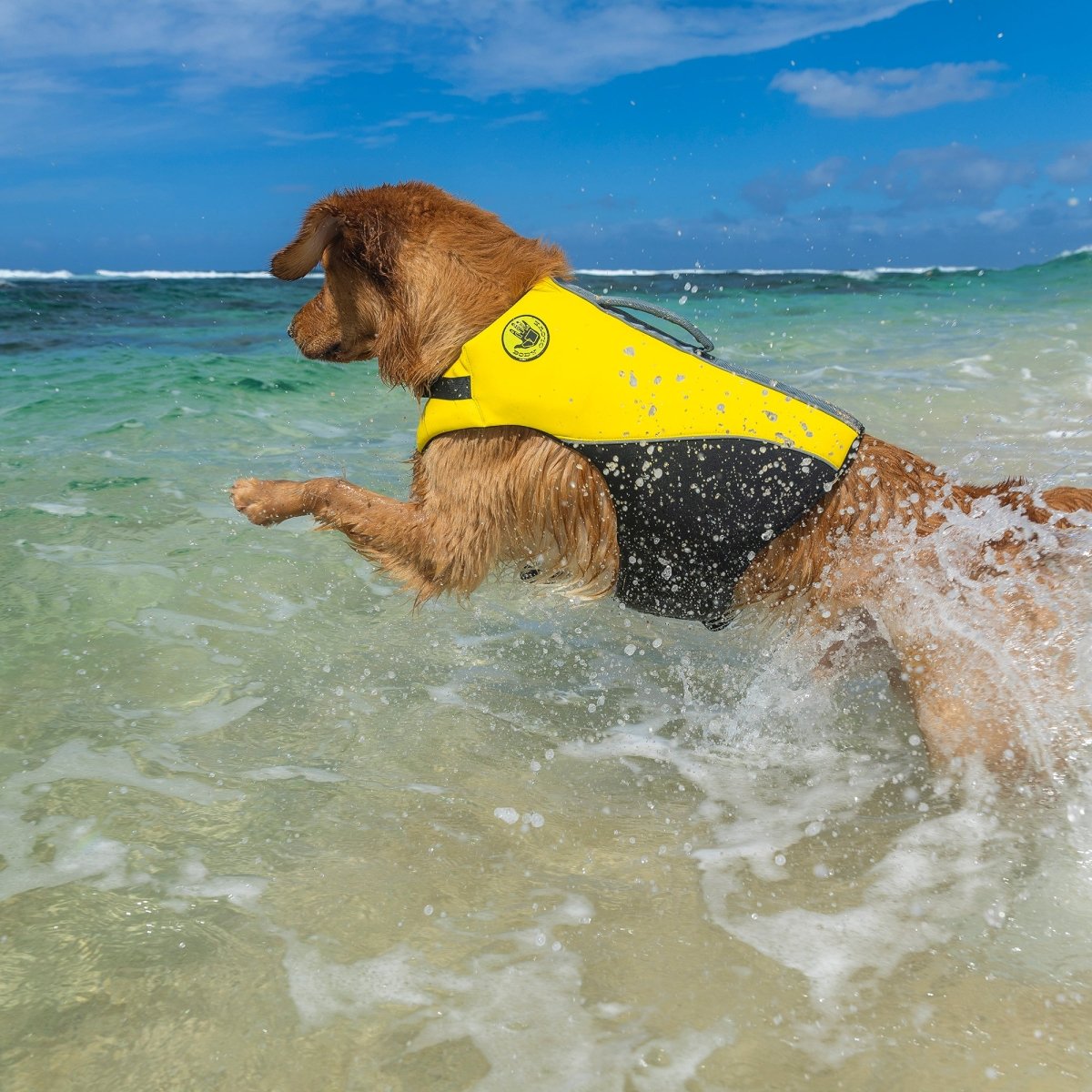 Body Glove Neoprene Pet Life Jacket | HT Animal Supply