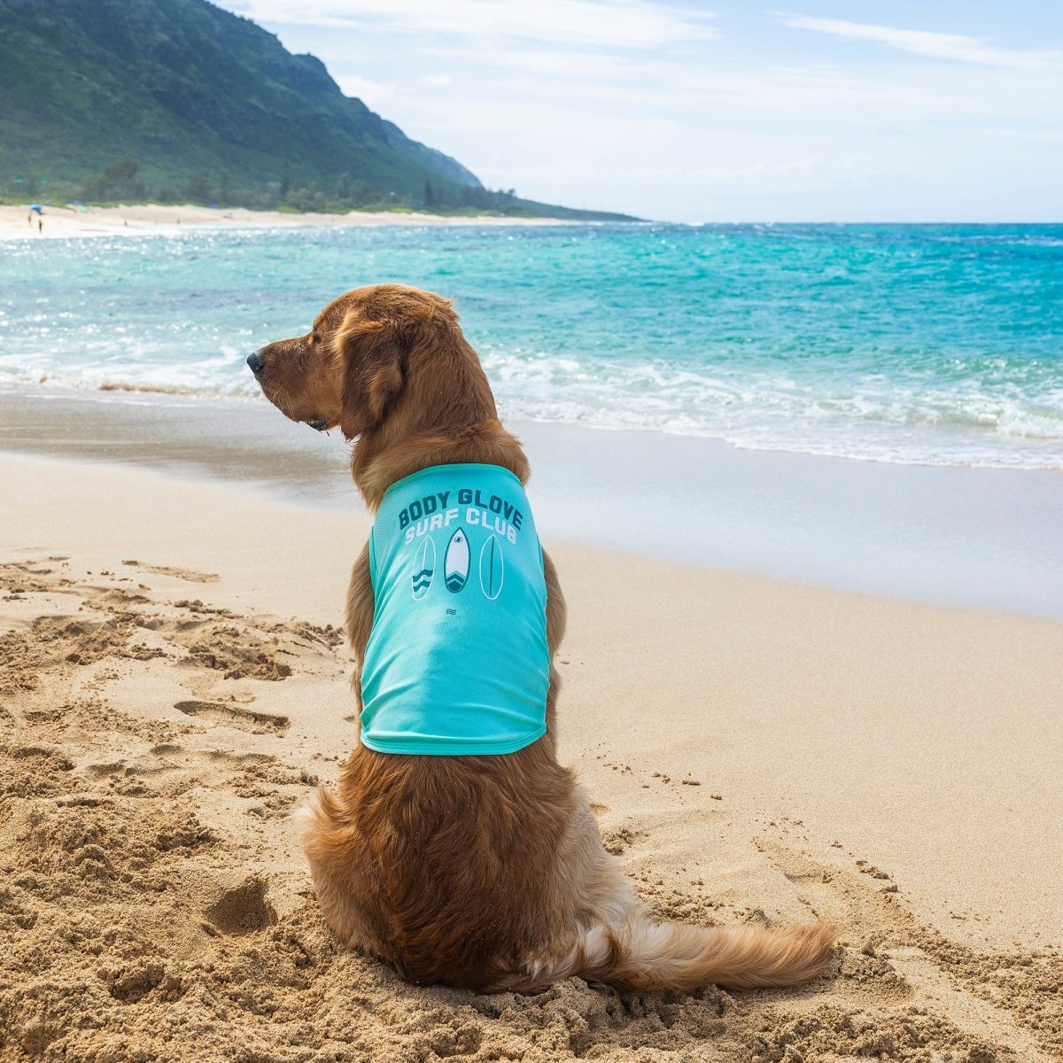 Body Glove Pet Sun Shirt | HT Animal Supply