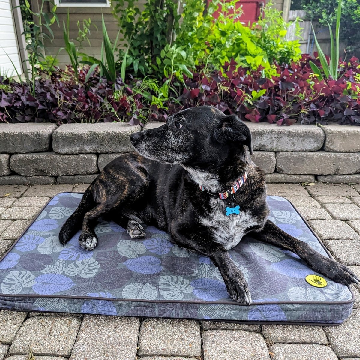 Body Glove Sun & Sand Tough Mat - Washable Dog Bed premium pet product