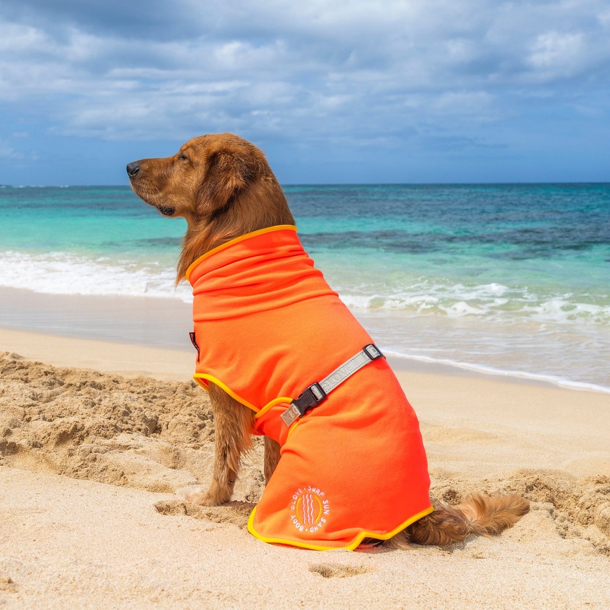 Body Glove Surf Pet Towel Robe | HT Animal Supply