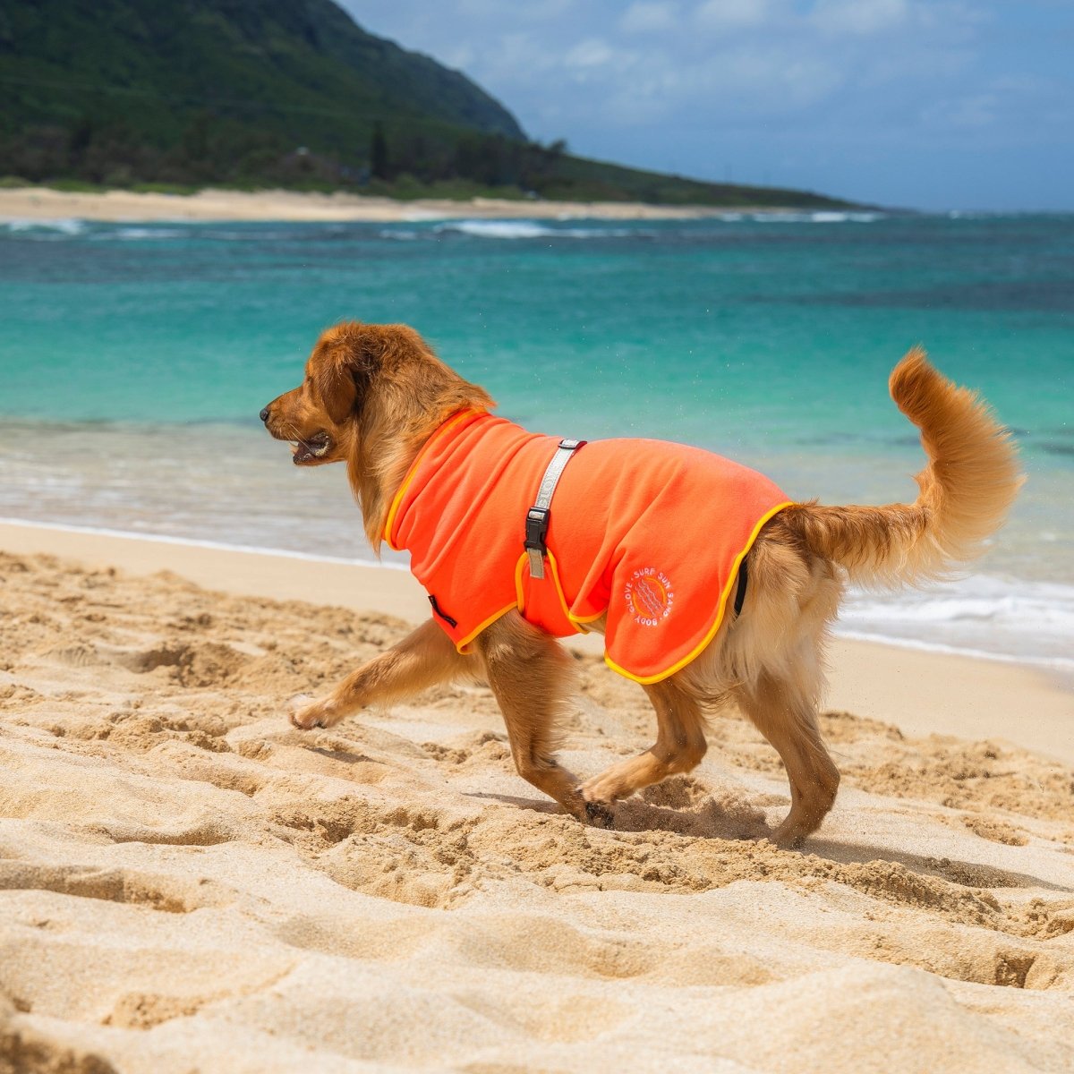 Body Glove Surf Pet Towel Robe | HT Animal Supply