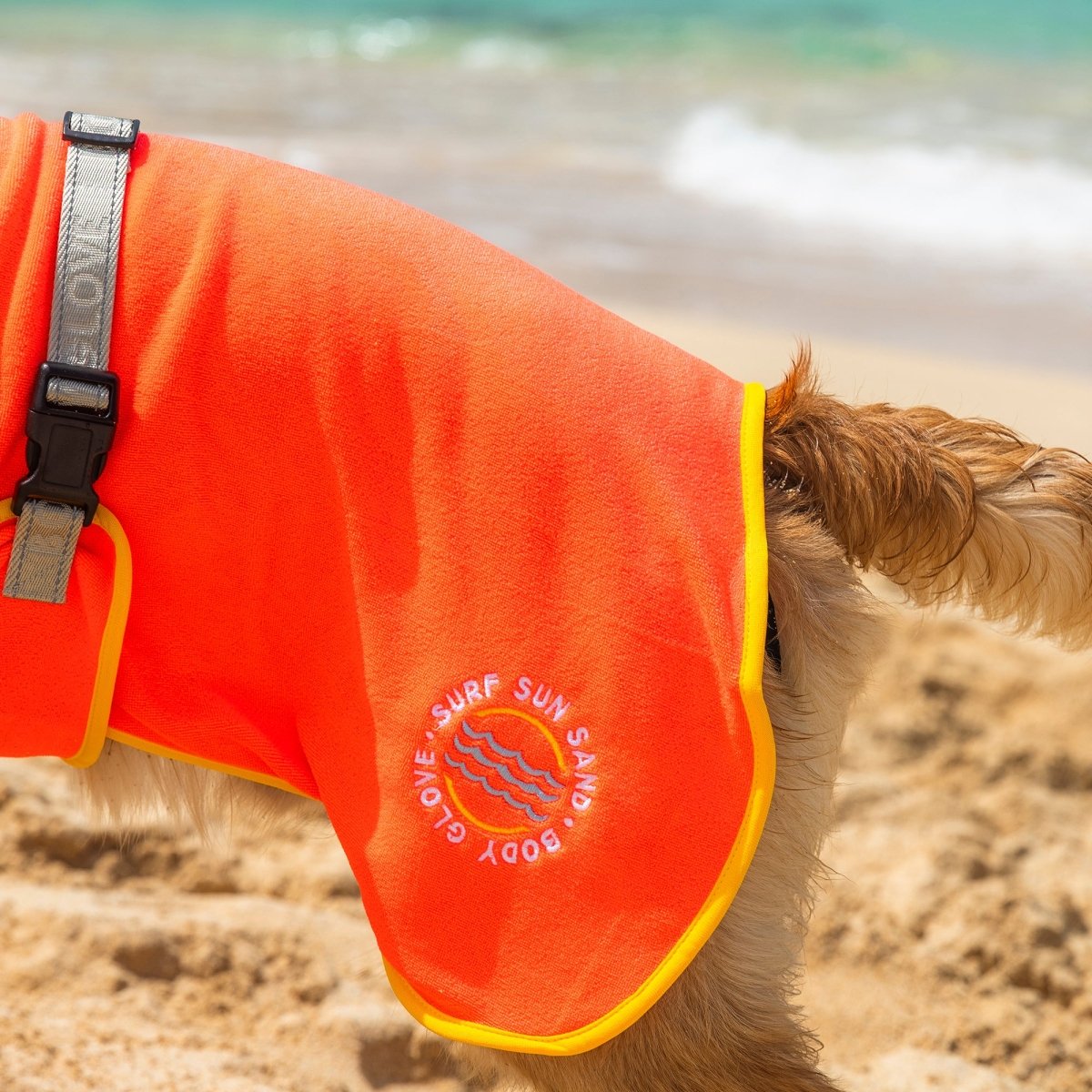 Body Glove Surf Pet Towel Robe | HT Animal Supply