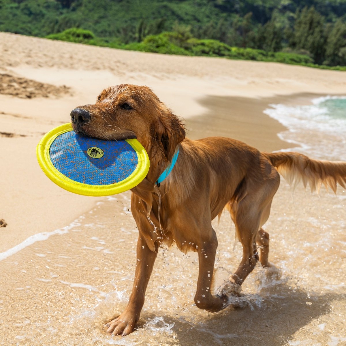 Body Glove Tough Toss Disc - Fetch Disk Toy For Dogs | HT Animal Supply