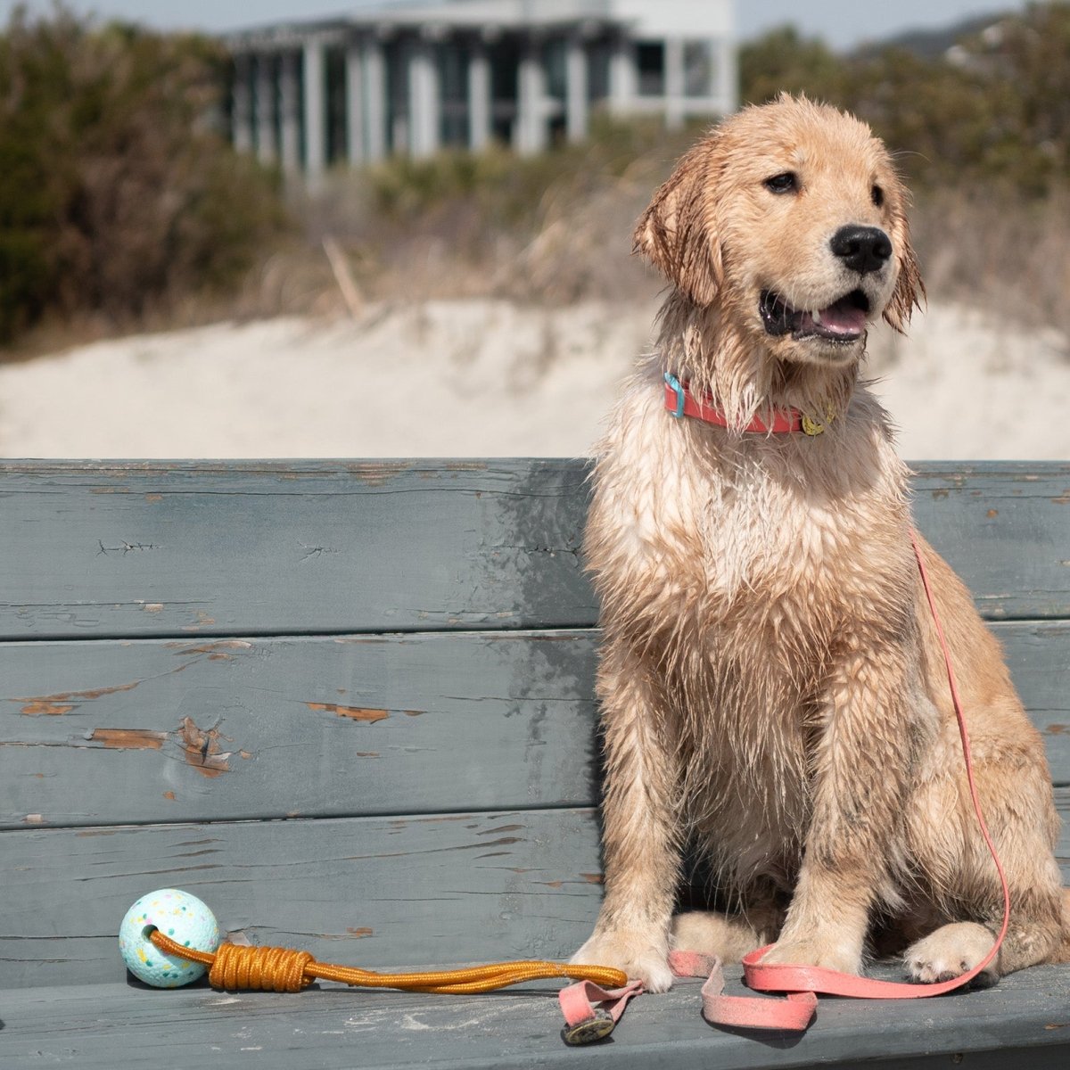 Body Glove Tough Tug Toy