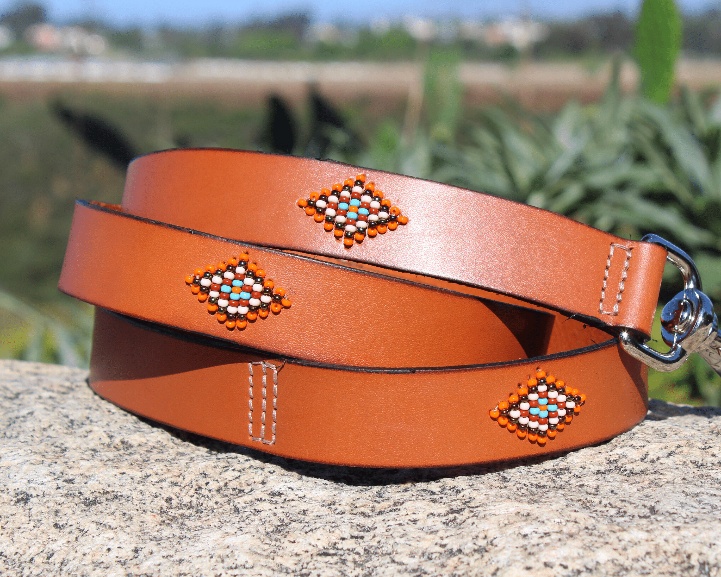 Matching leash/dog collar Boho Chic Sambboho Bundle