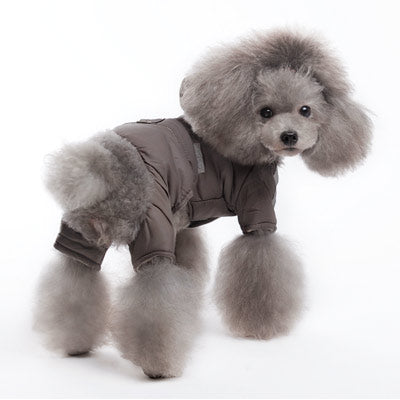 DOGO Bomber Dog Jumper