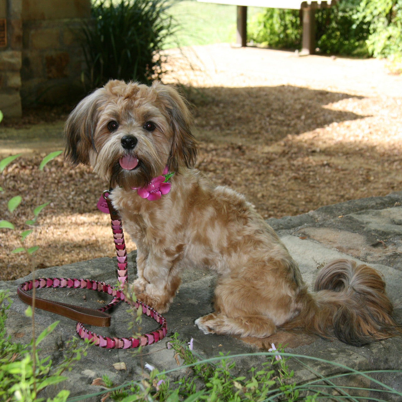 Shades of Pink Leather Dog Collar