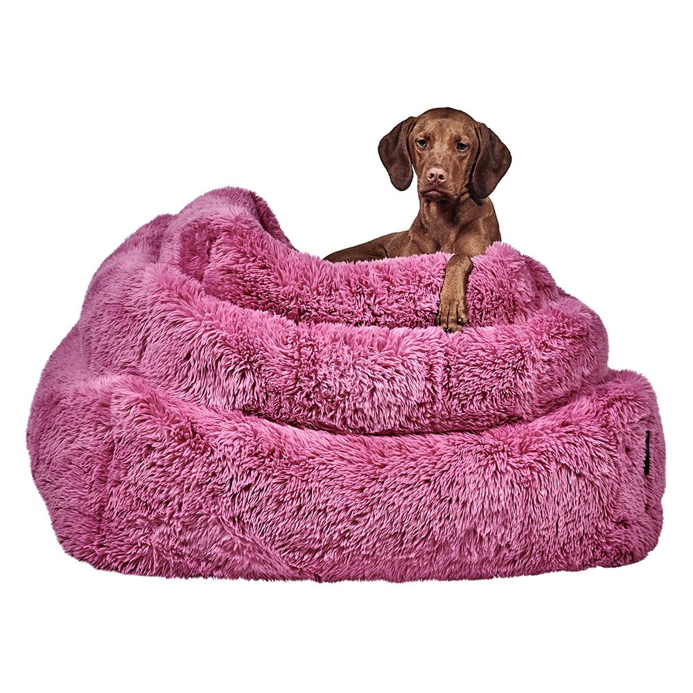 The Franklin Cherry Blossom for small dogs premium Bowsers luxury dog bed