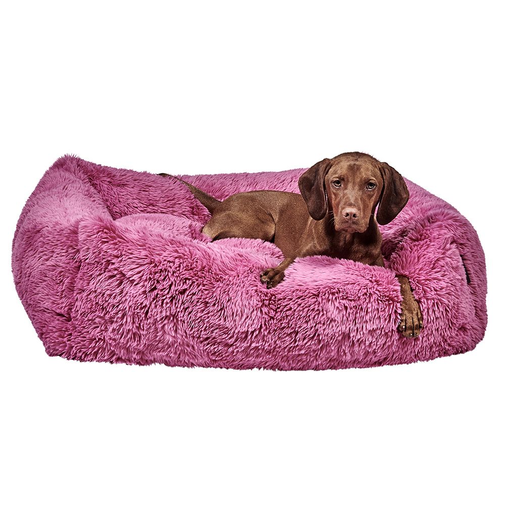 The Franklin Cherry Blossom for medium dogs premium Bowsers luxury dog bed
