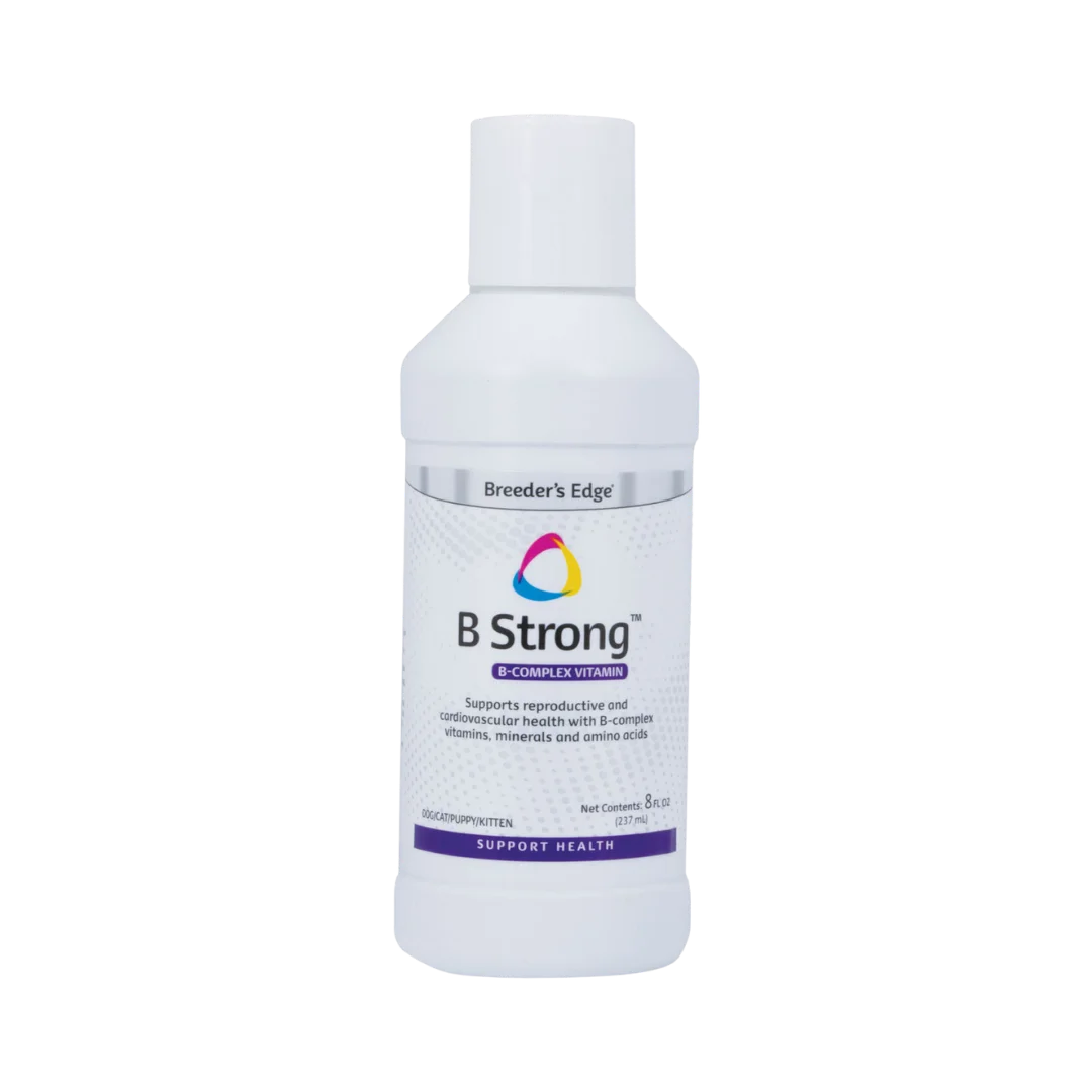 B Strong Liquid 8oz by Breeders Edge