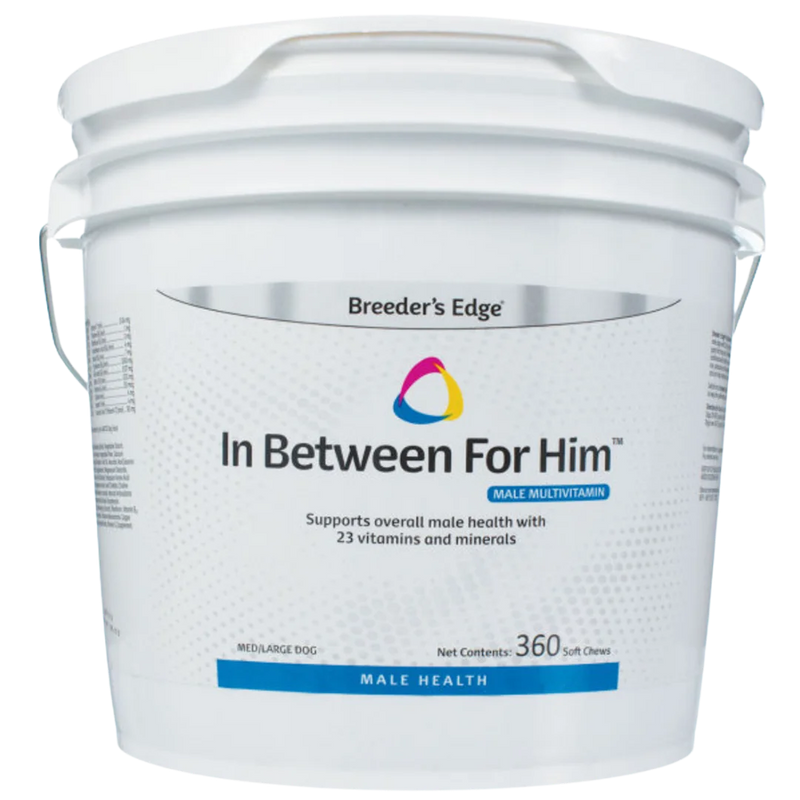In Between For Him 360ct Medium/Large Dog by Breeders Edge