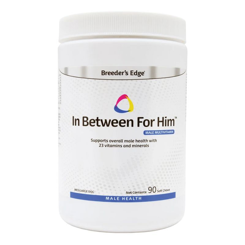In Between For Him 90ct Medium/Large Dog by Breeders Edge