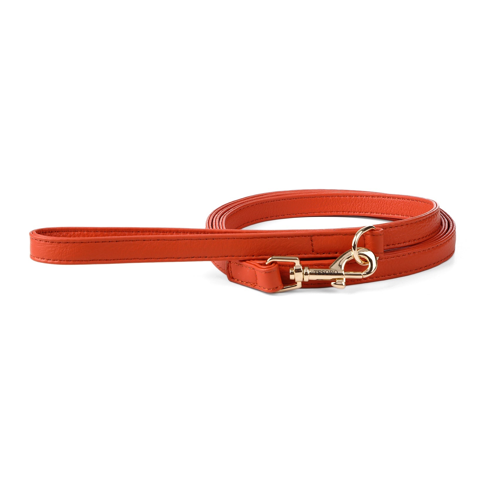 Dog Leash
