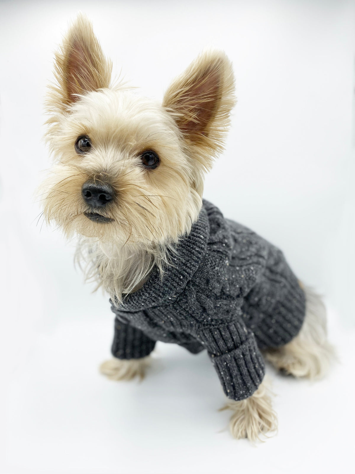 BESPOKE PAWS Brooklyn Cashmere Cardigan, Charcoal - Leather Warm Cozy Comfort Sweaters