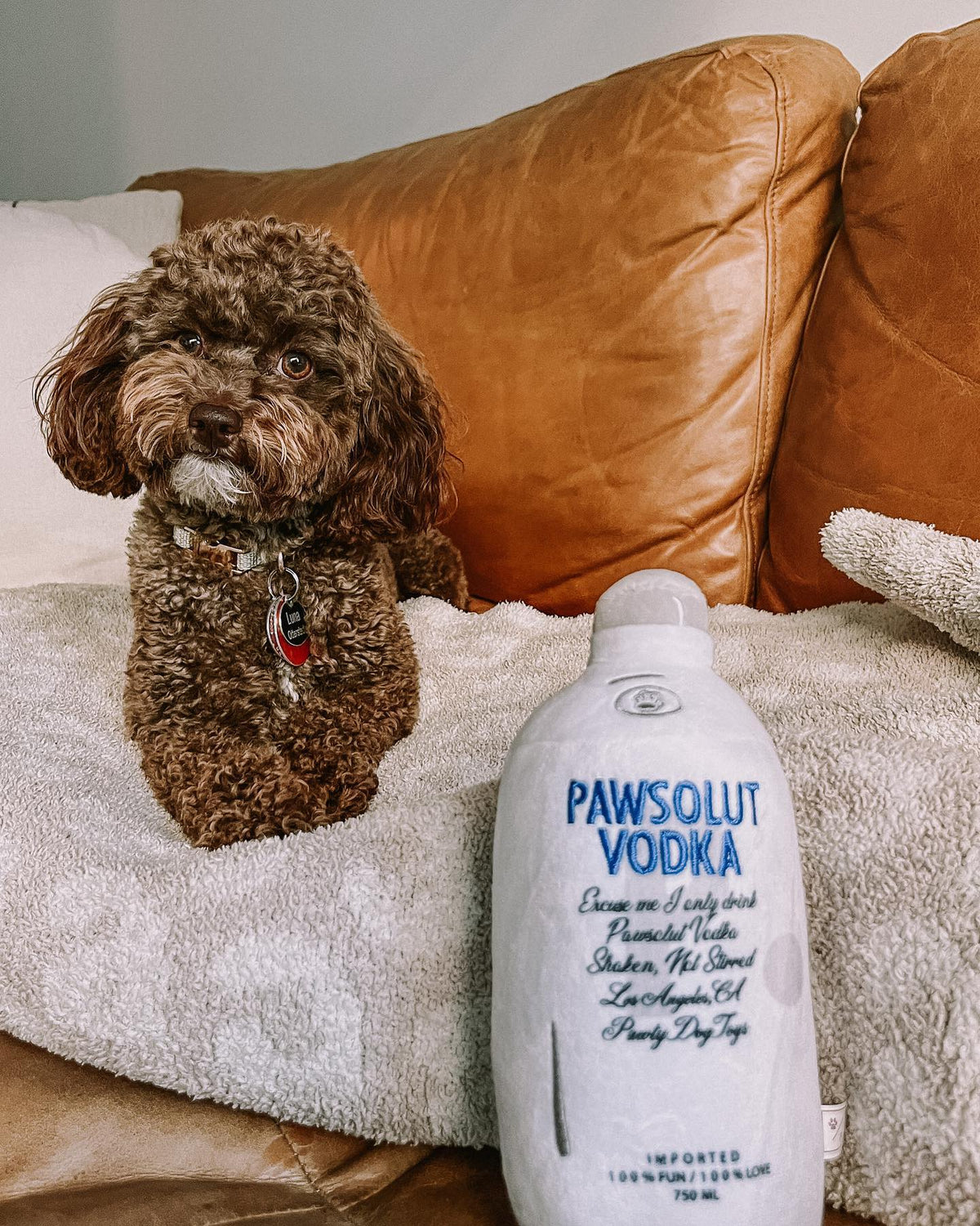 Pawty Pawsolut Vodka Bottle Plush Squeaky Dog Toy