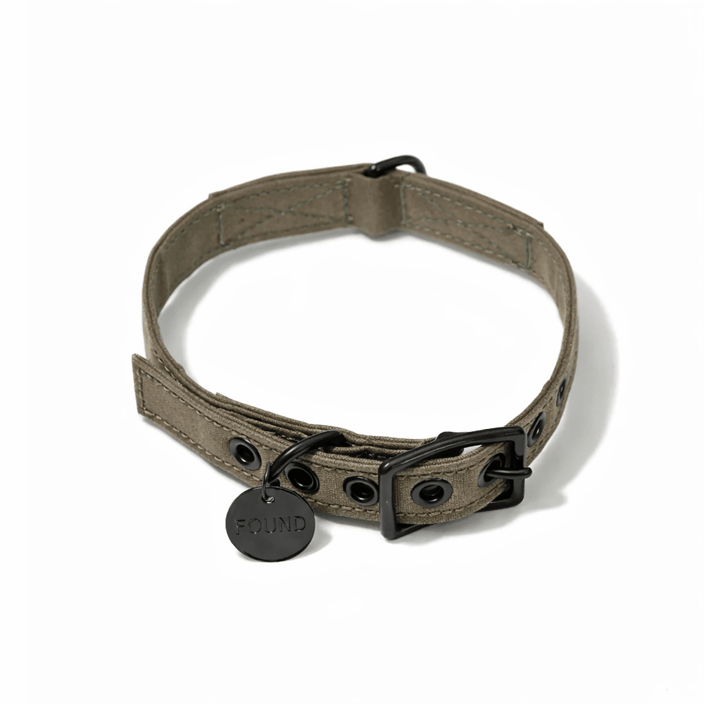 Brown Waxed Cotton Canvas Cat & Dog Collar – Matte Black Hardware