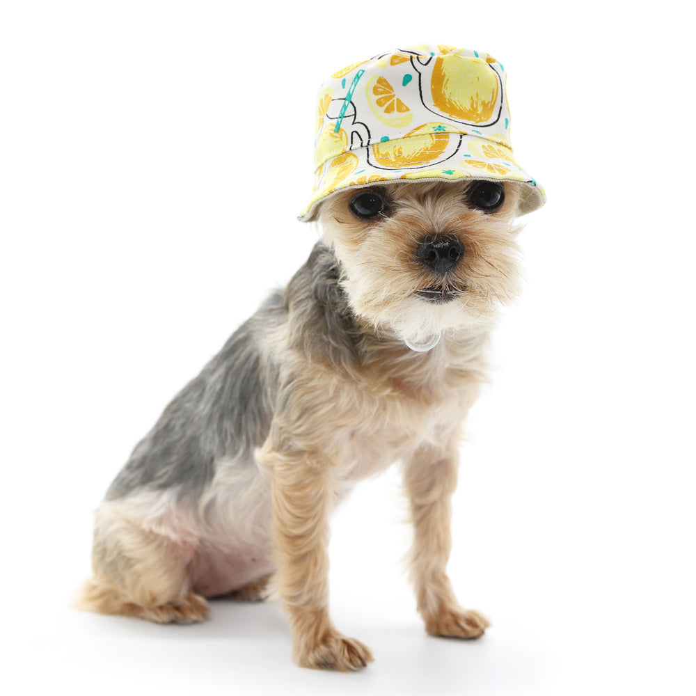 Bucket Hat Lemonade