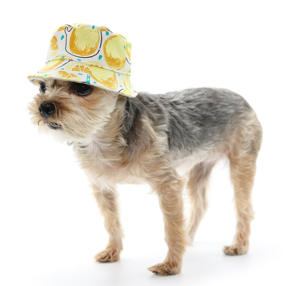 DOGO Lemonade Dog Bucket Hat