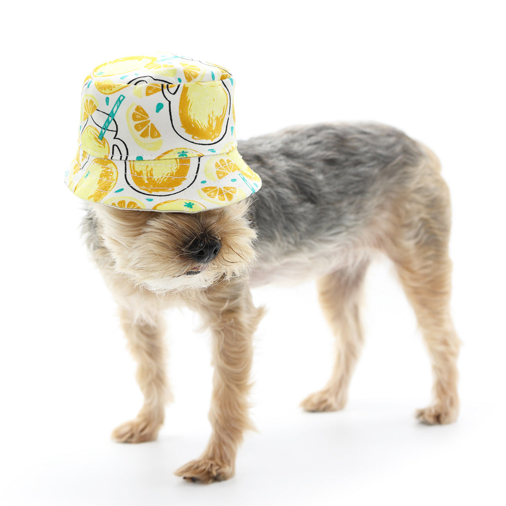 DOGO Lemonade Dog Bucket Hat