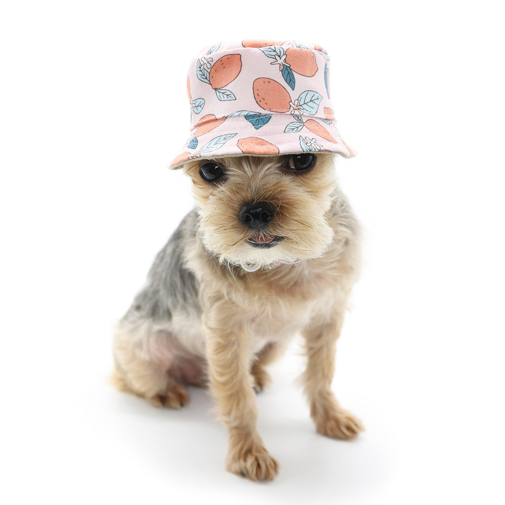 Bucket Hat Lemon Pink