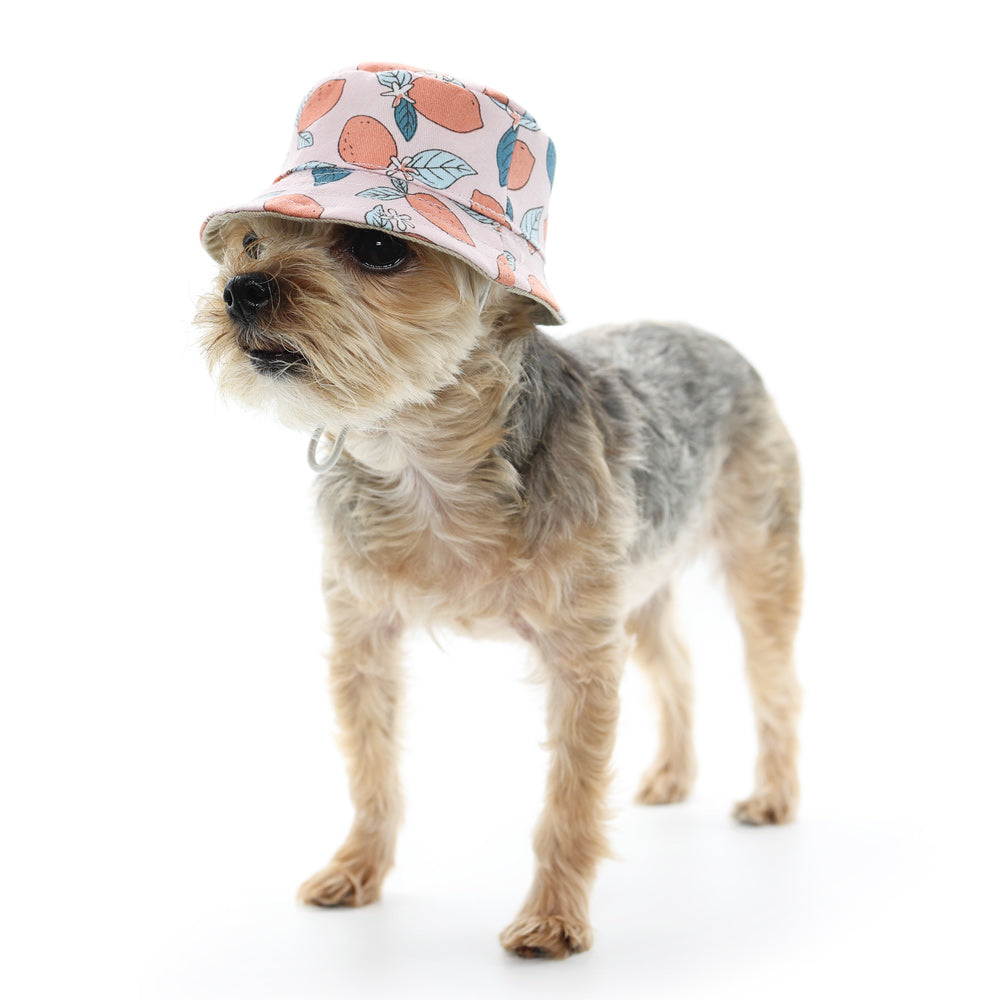 DOGO Lemon Pink Dog Bucket Hat