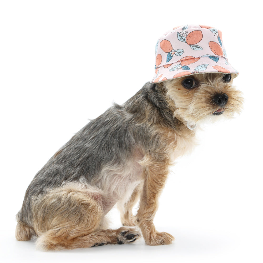 DOGO Lemon Pink Dog Bucket Hat