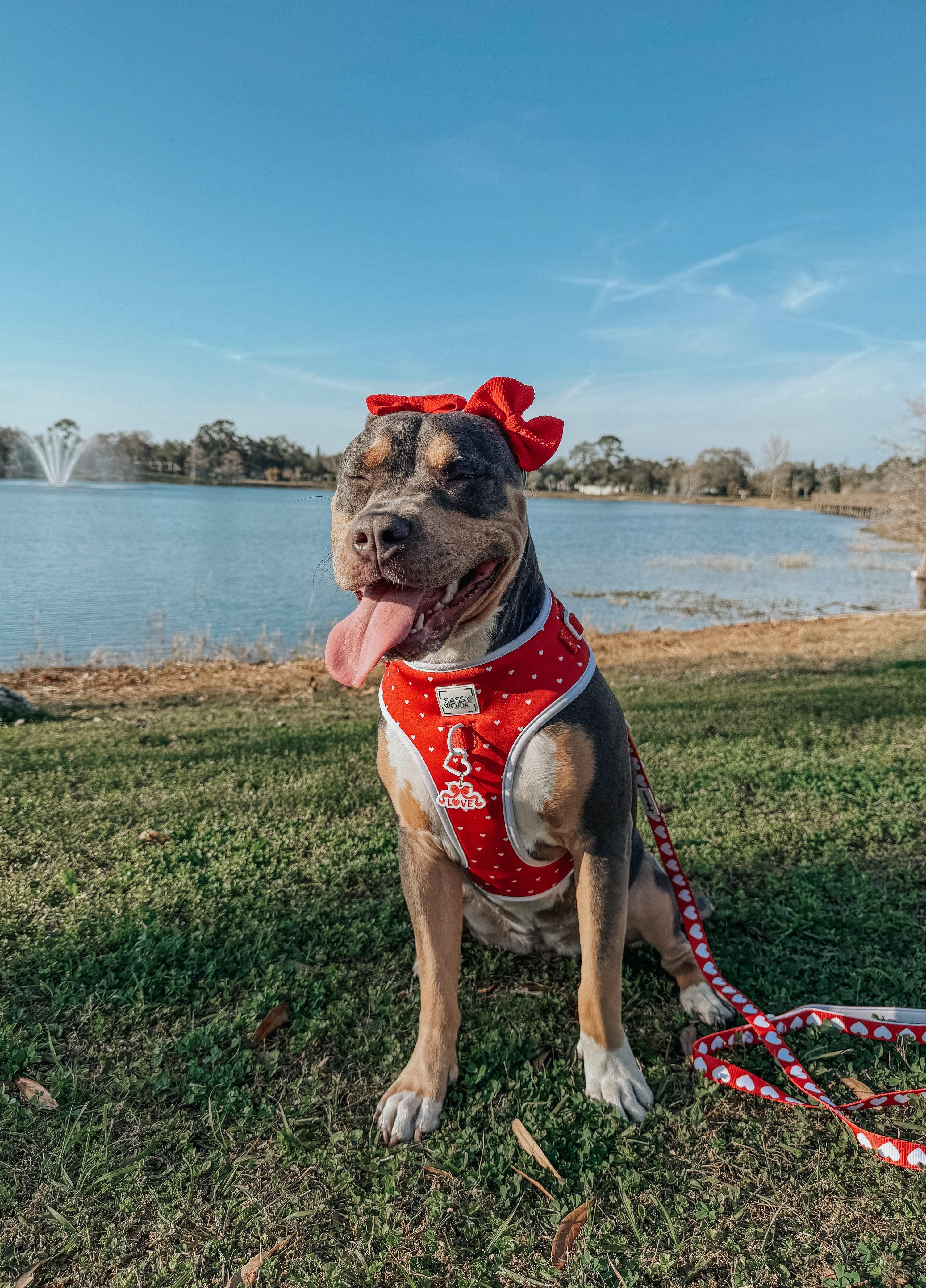 Dog Adjustable Harness - Little Love