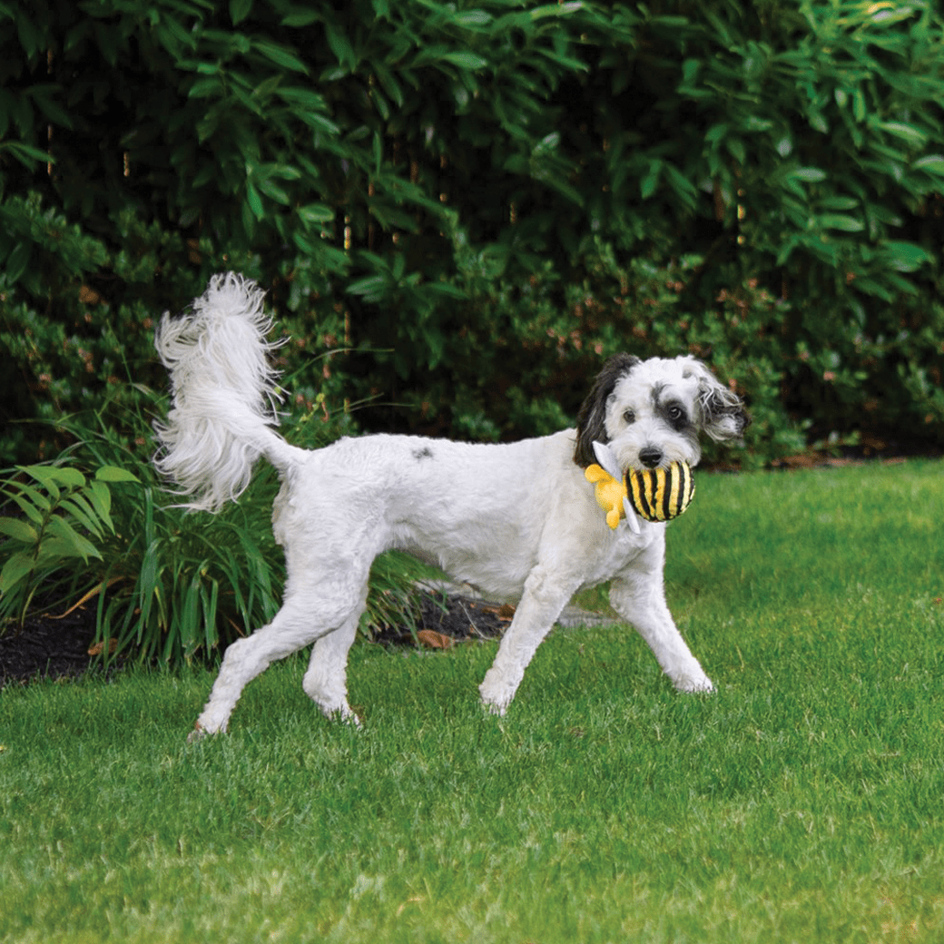 Bumble Bee faball® 