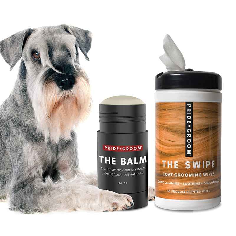 PRIDE+GROOM Paw Care Dog Grooming Bundle