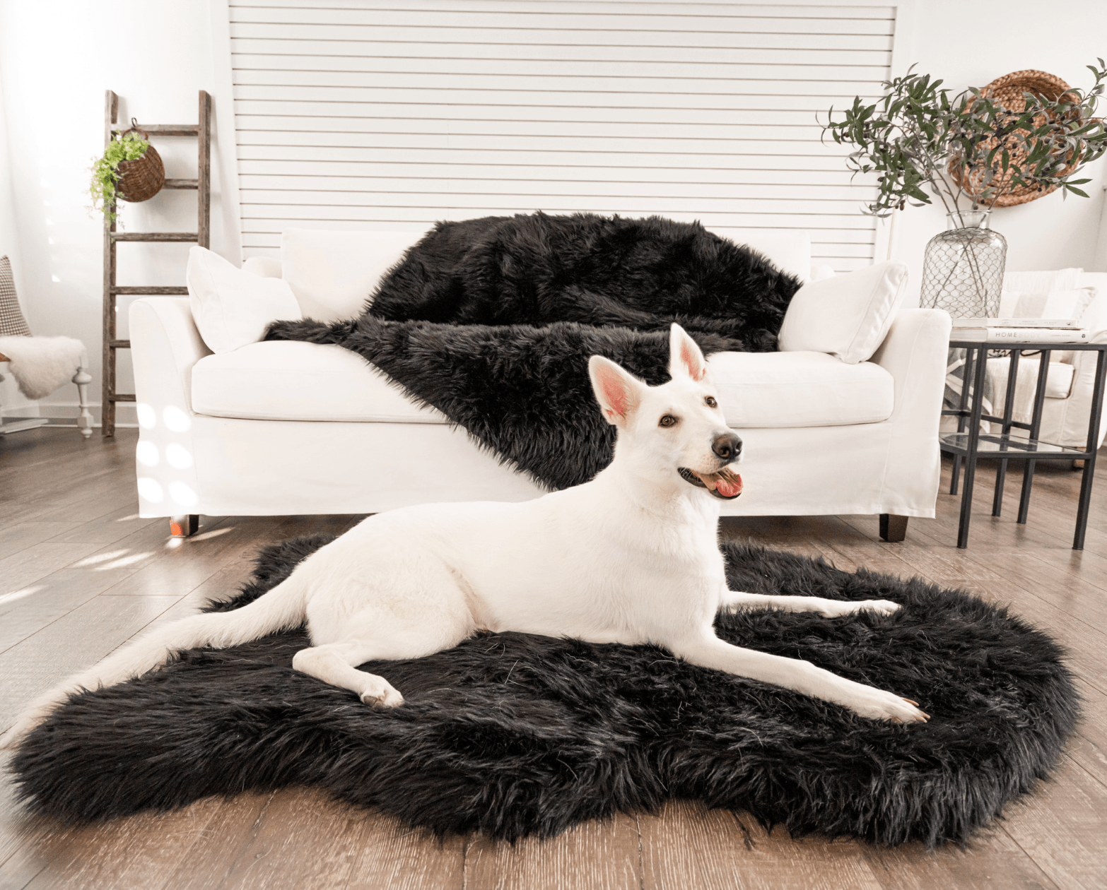 PupRug by Paw.com™ Faux Fur Orthopedic Dog Bed - Curve Midnight Black
