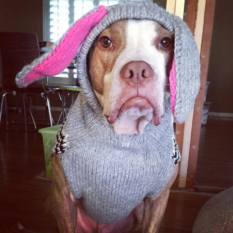 Chilly Dog Bunny Hoodie Dog Sweater