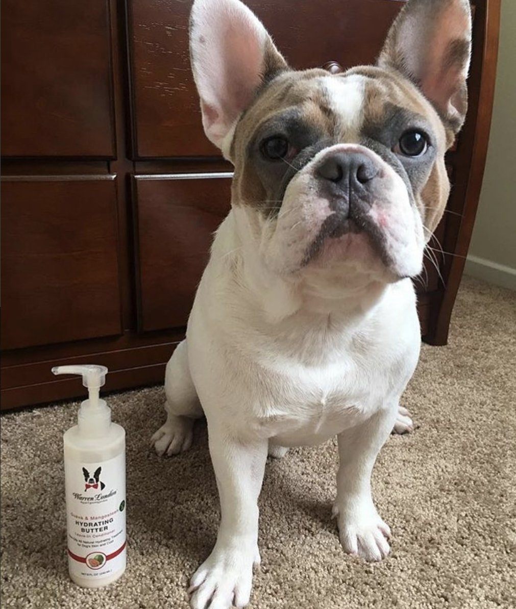 Hydrating Butter - For Dogs Skin & Coat - Leave-In Moisturizer