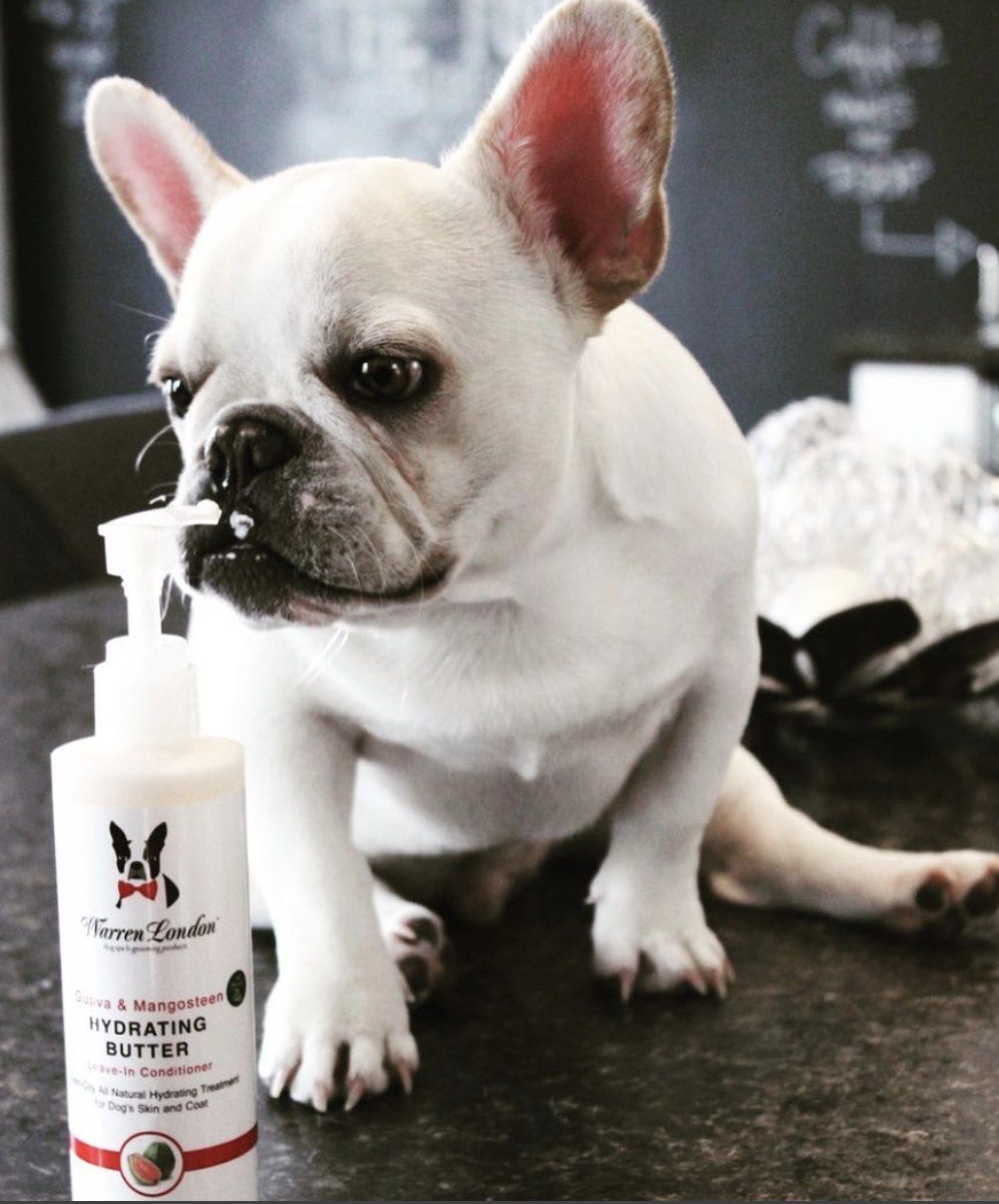 Hydrating Butter - For Dogs Skin & Coat - Leave-In Moisturizer