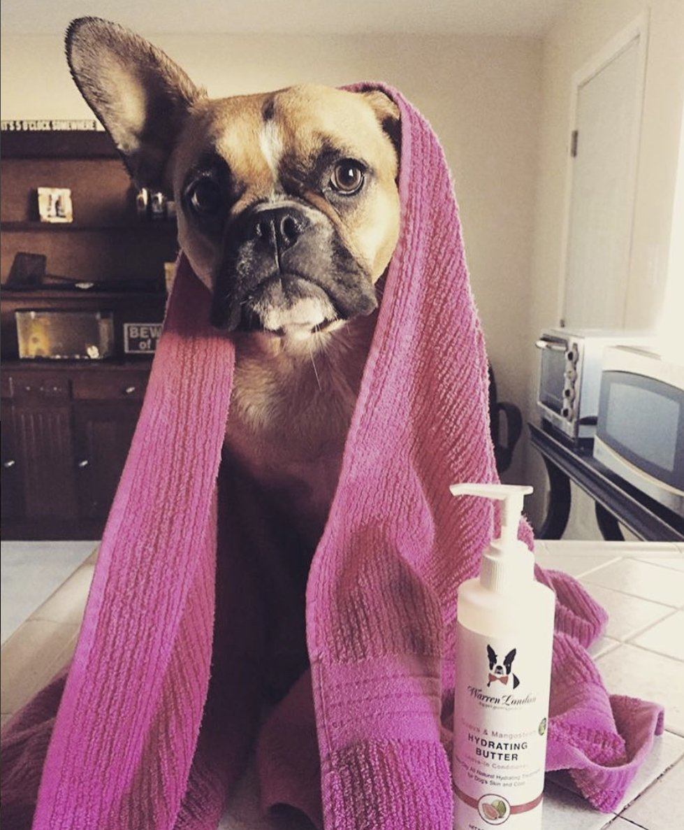 Hydrating Butter - For Dogs Skin & Coat - Leave-In Moisturizer