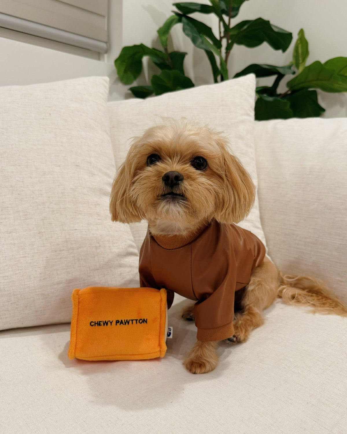 Pawty Chewy Pawtton Designer Plush Dog Toy