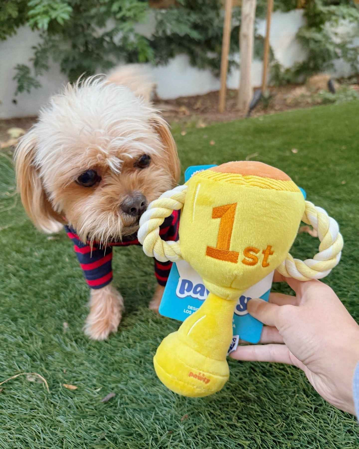 Pawty Trophy Plush Dog Toy