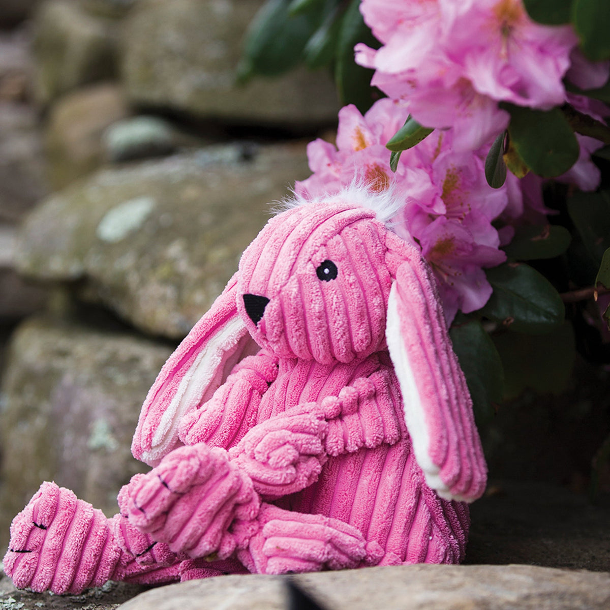 Bitsy Bunny Knottie Plush Dog Toy