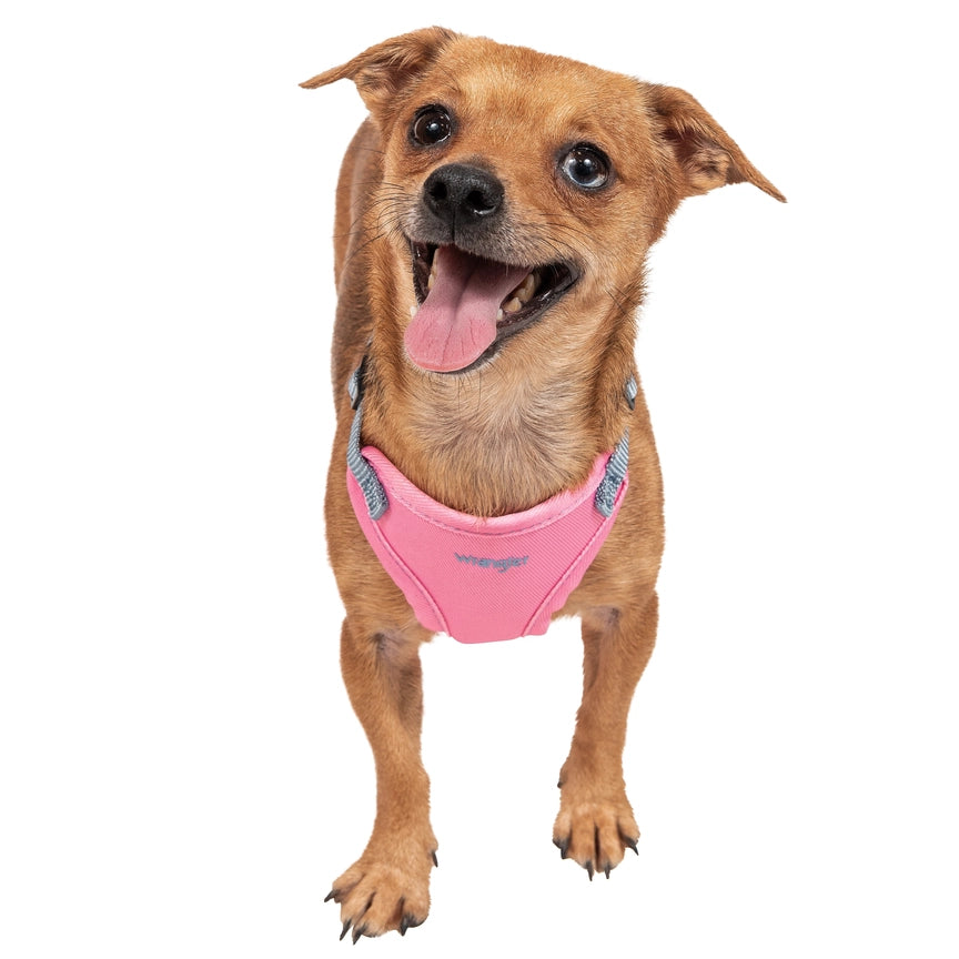 Wrangler® Pink Denim Harness, Collar & Lead Set