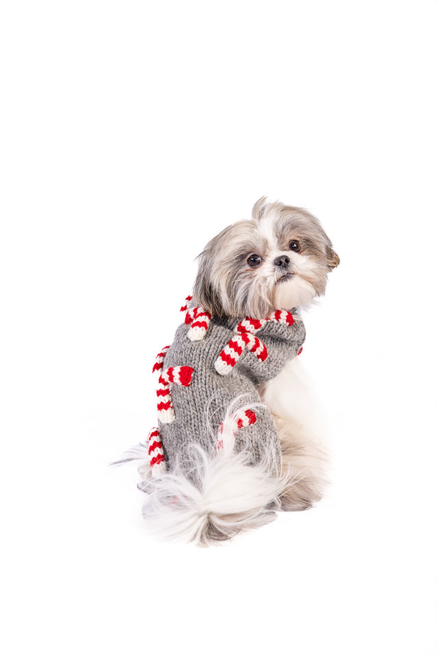 Candy Cane Dog Sweater