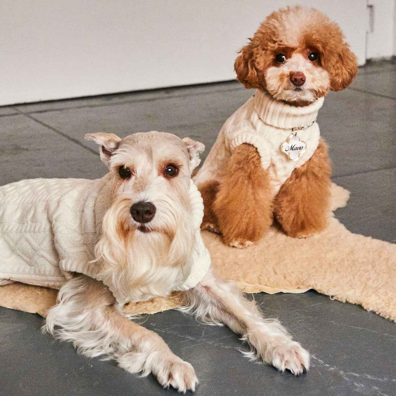 Nooee Pet Off White Wool Cable Sweater