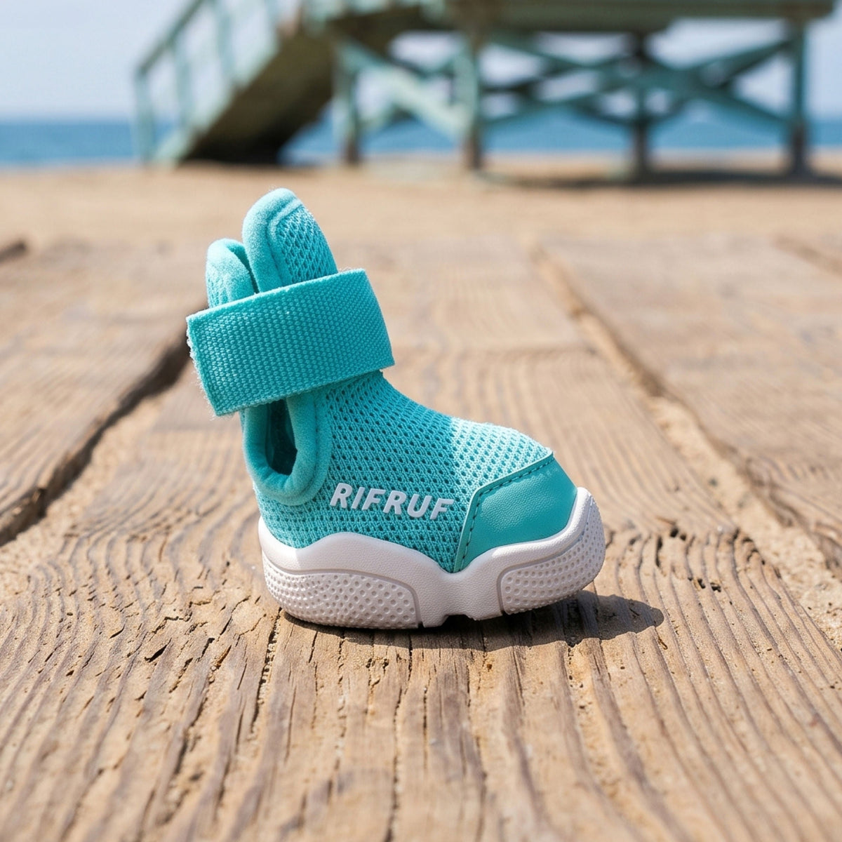 RIFRUF Caesar 1 Dog Sneakers