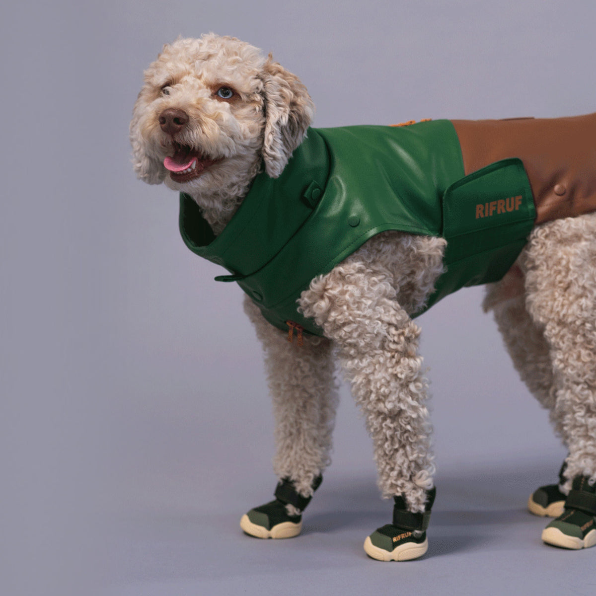 RIFRUF Caesar 1 Dog Sneakers