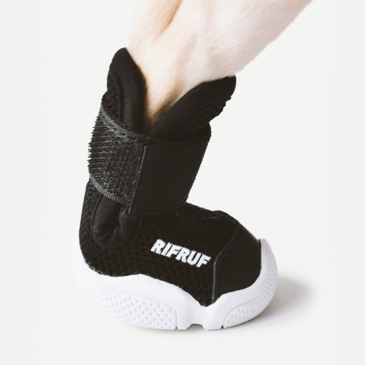 RIFRUF Caesar 1 Dog Sneakers