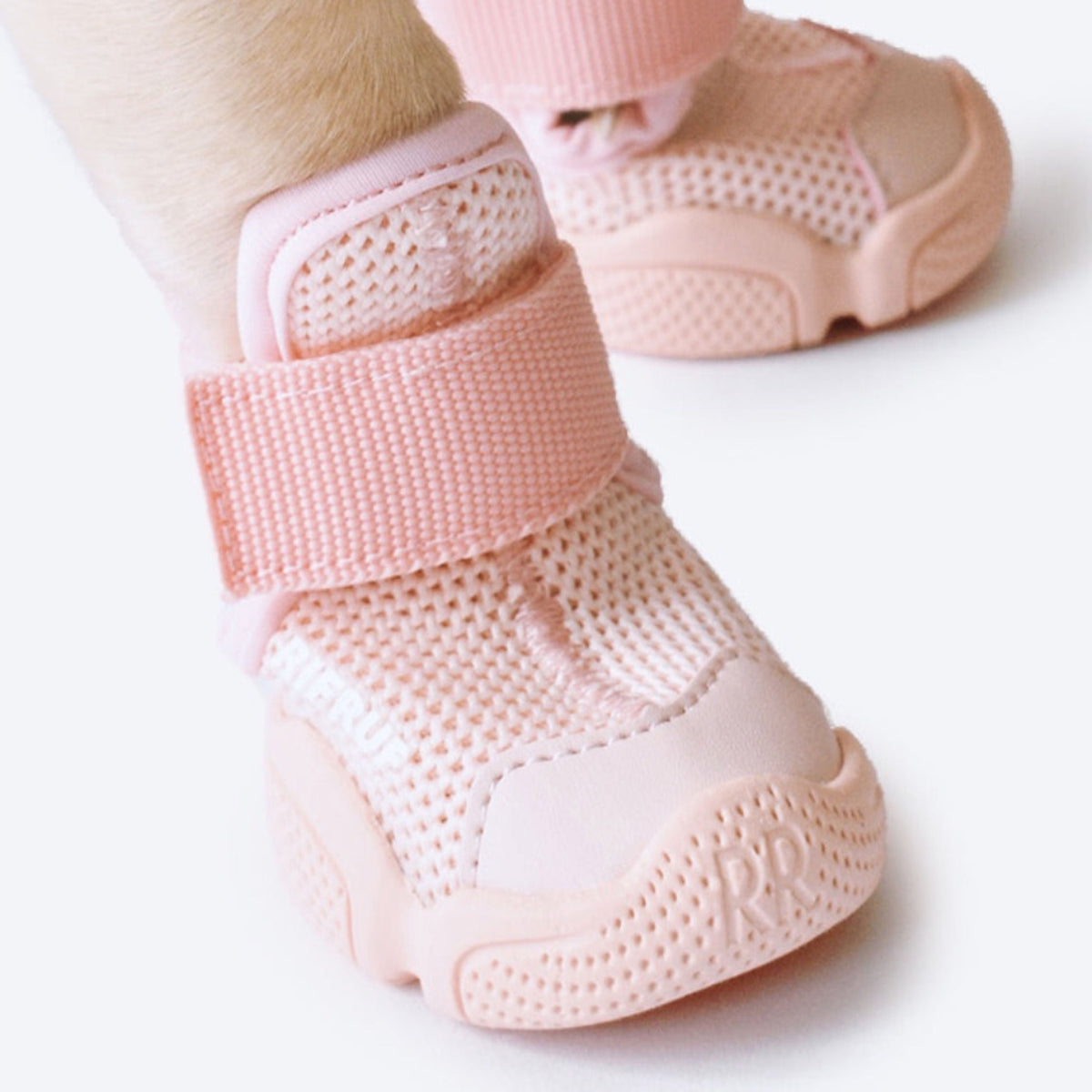RIFRUF Caesar 1 Dog Sneakers