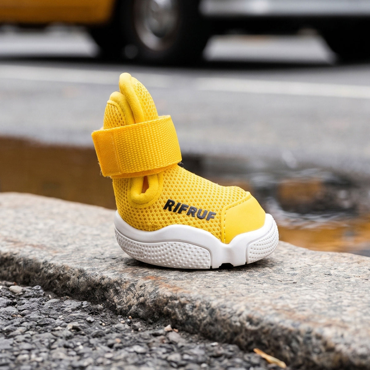 RIFRUF Caesar 1 Dog Sneakers