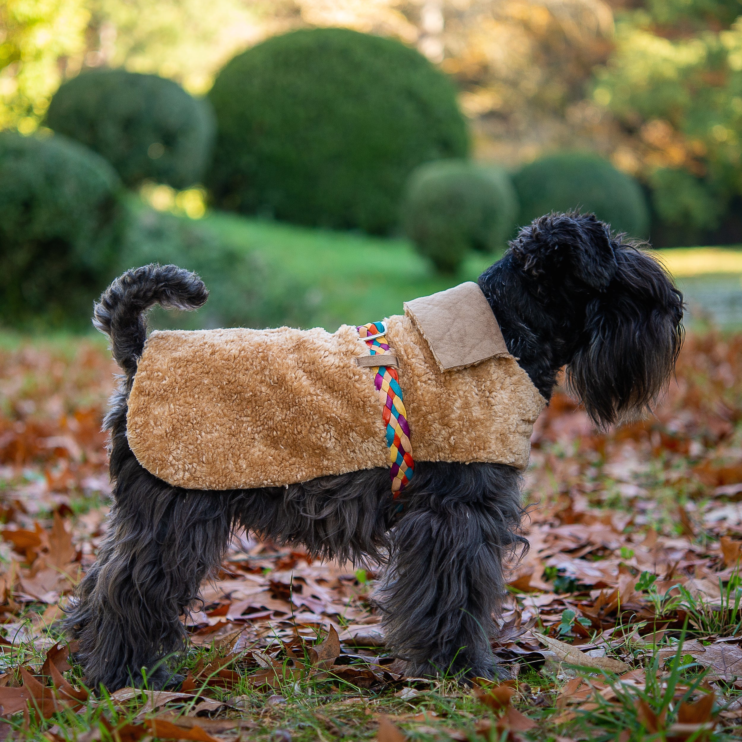 Eco-Shearling