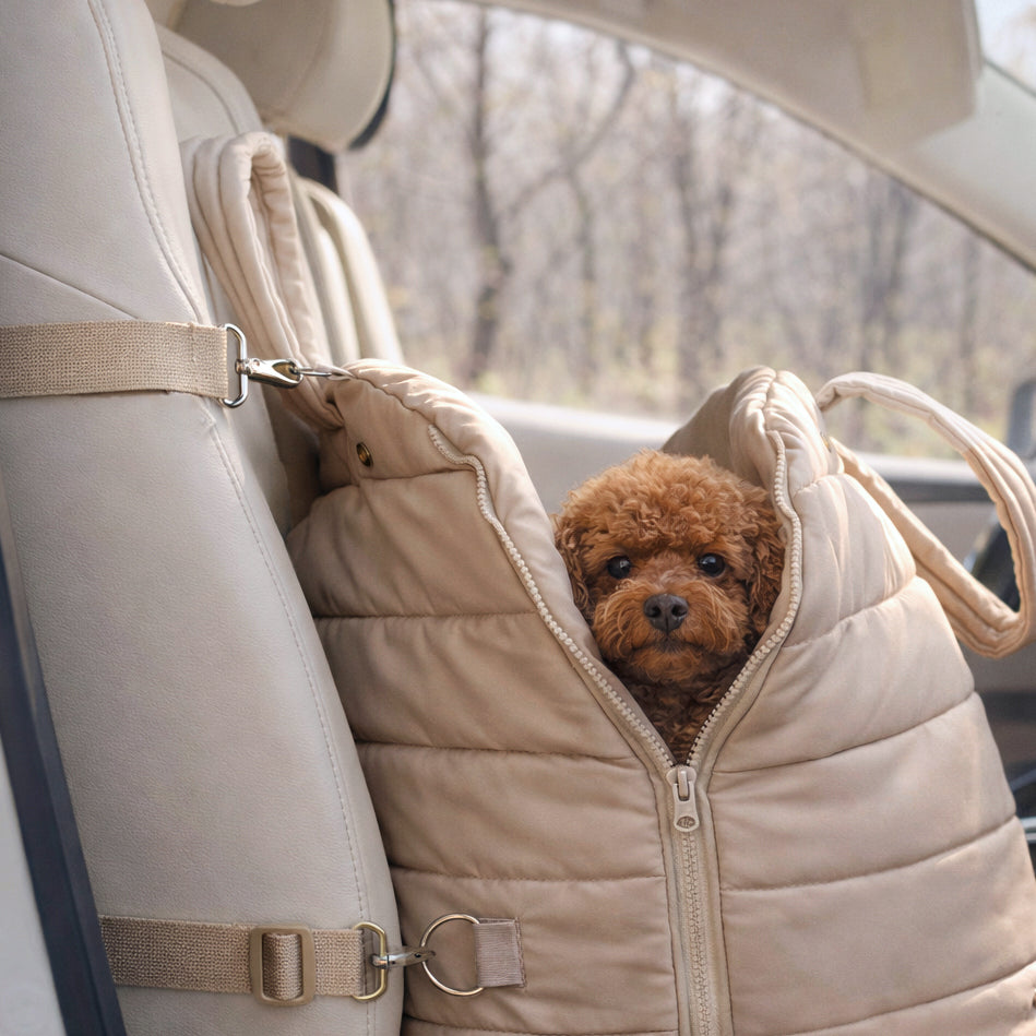 Nooee Pet Car Seat Lola | HT Animal Supply