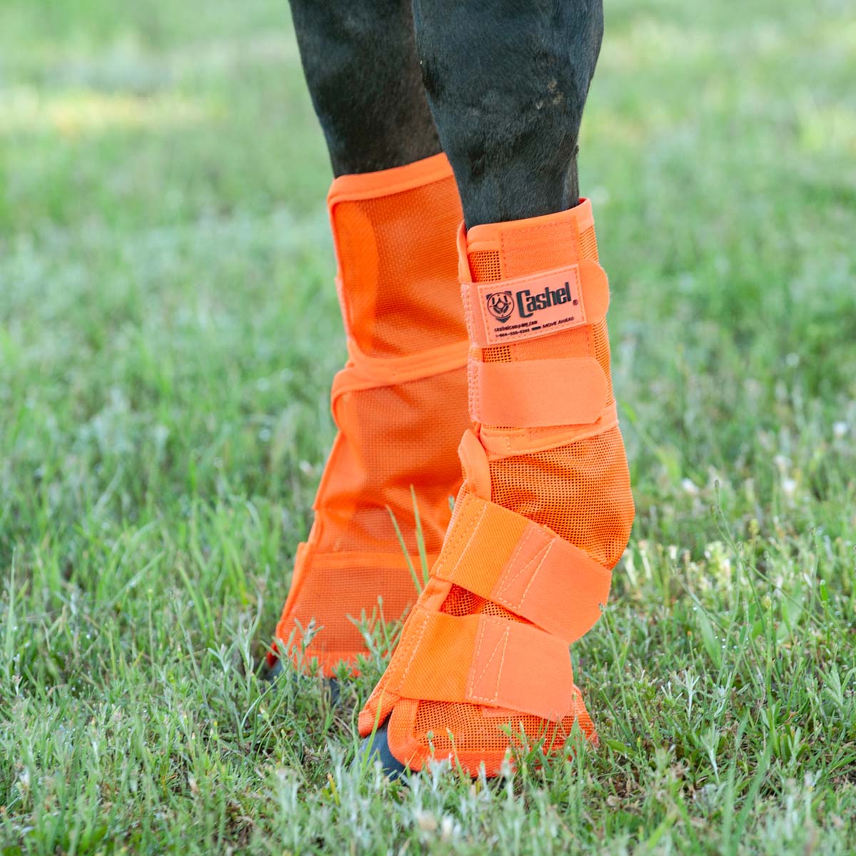 Cashel – Crusader Horse Fly Boots Contoured Fit Leg Guards, Set of 2